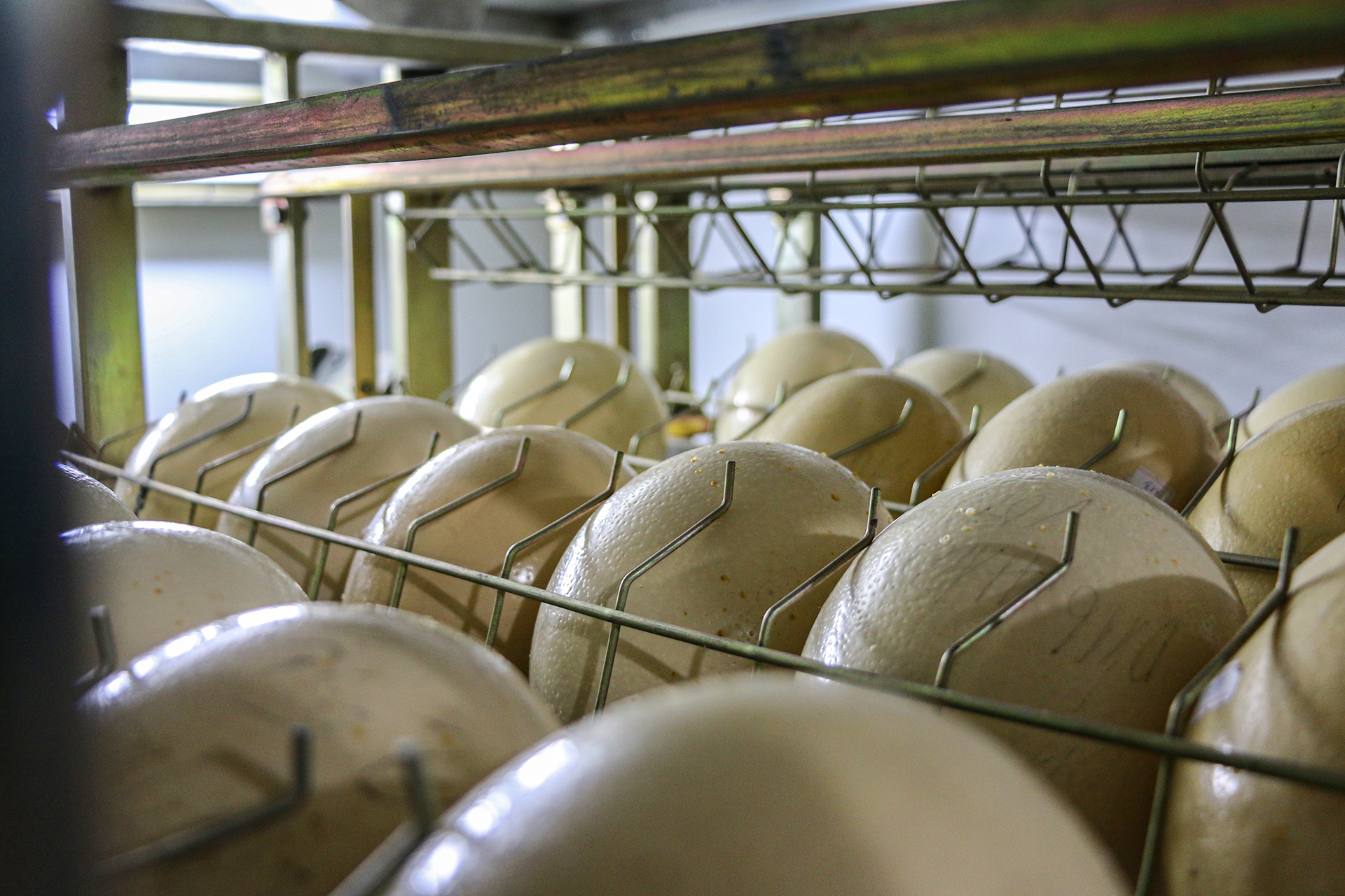 nuoi da dieu thit anh 14