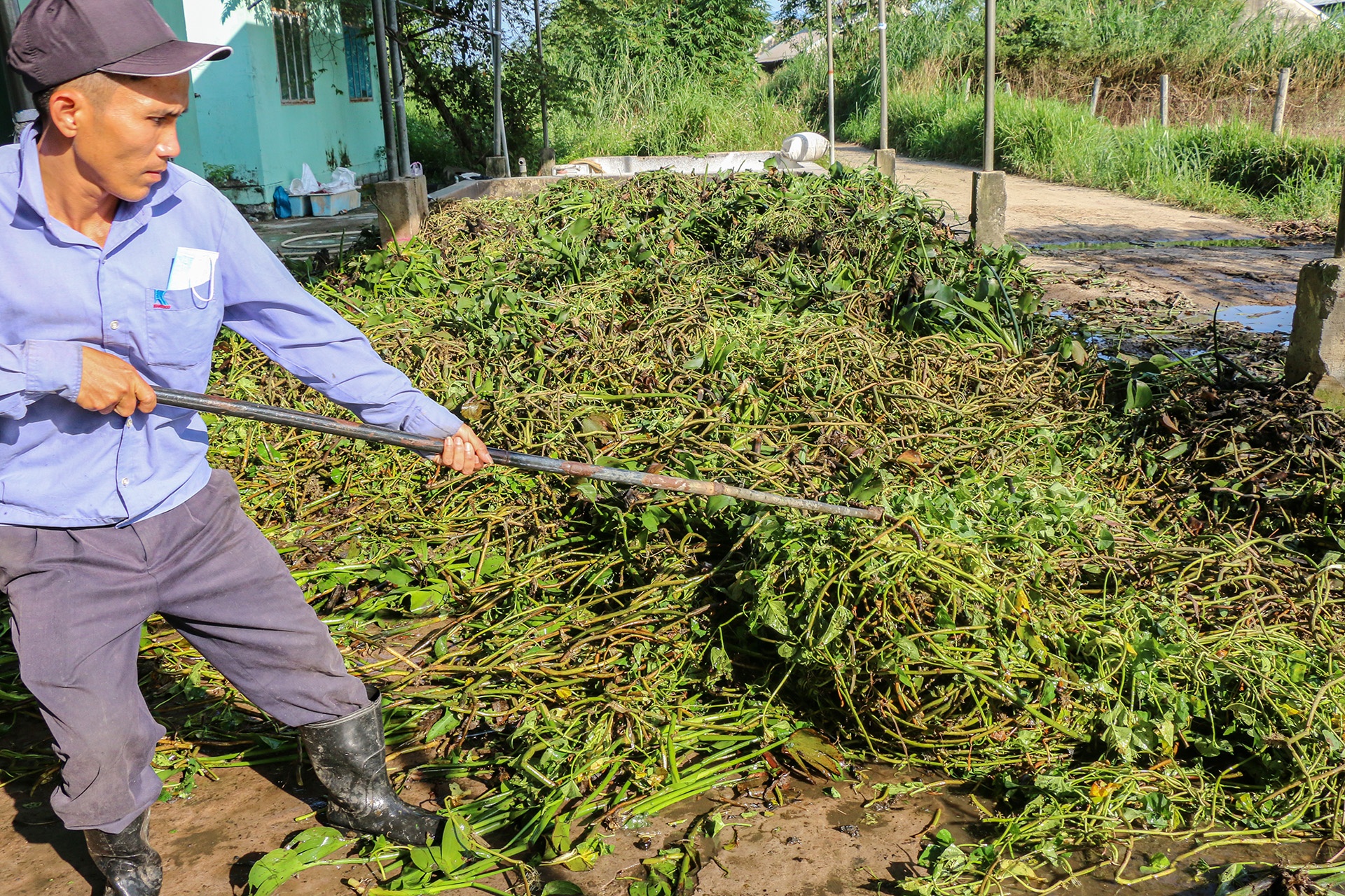 nuoi da dieu thit anh 6