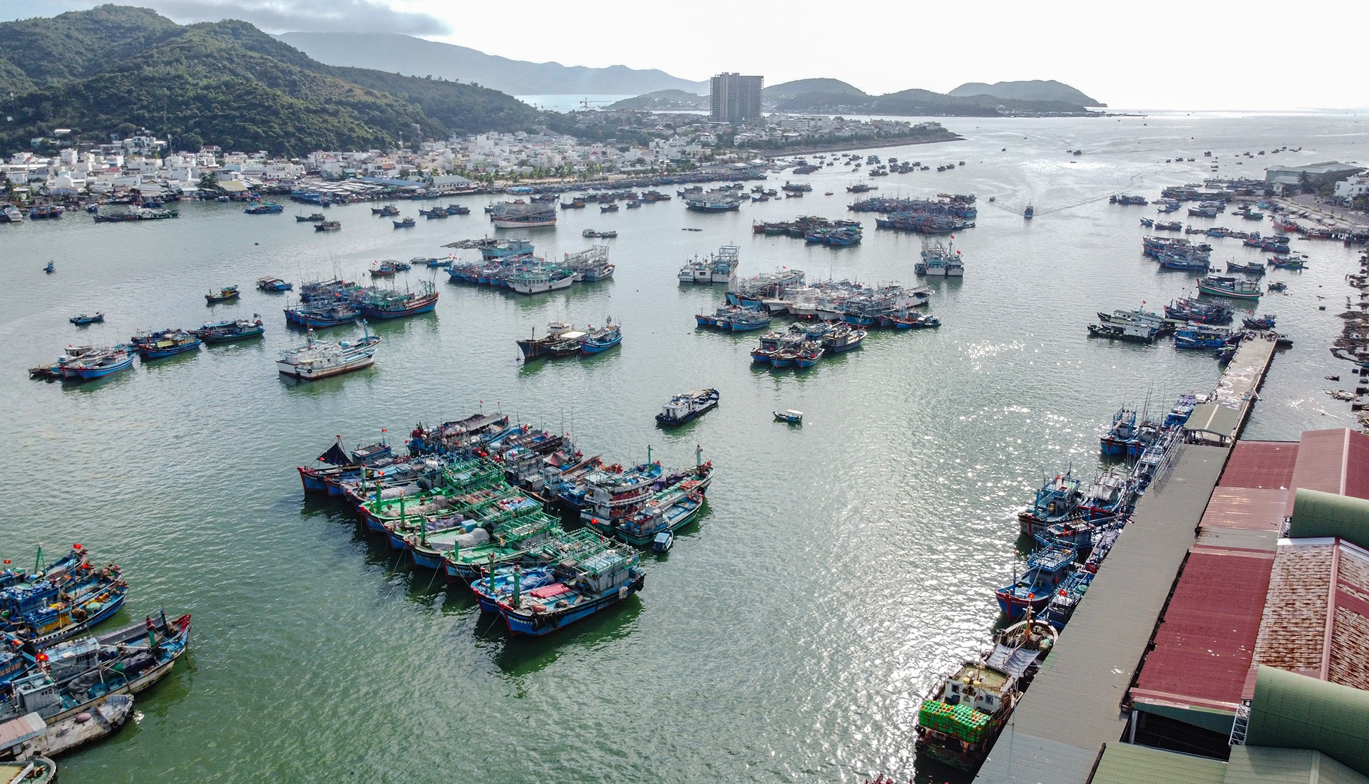 danh bat ca ngu anh 8