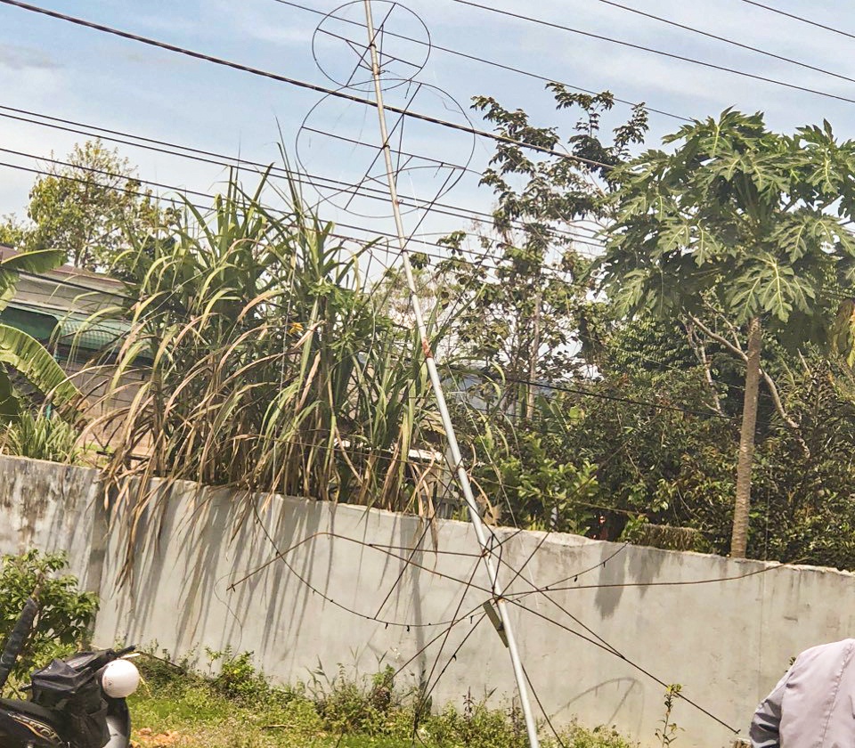 dien giat Lam Dong anh 1