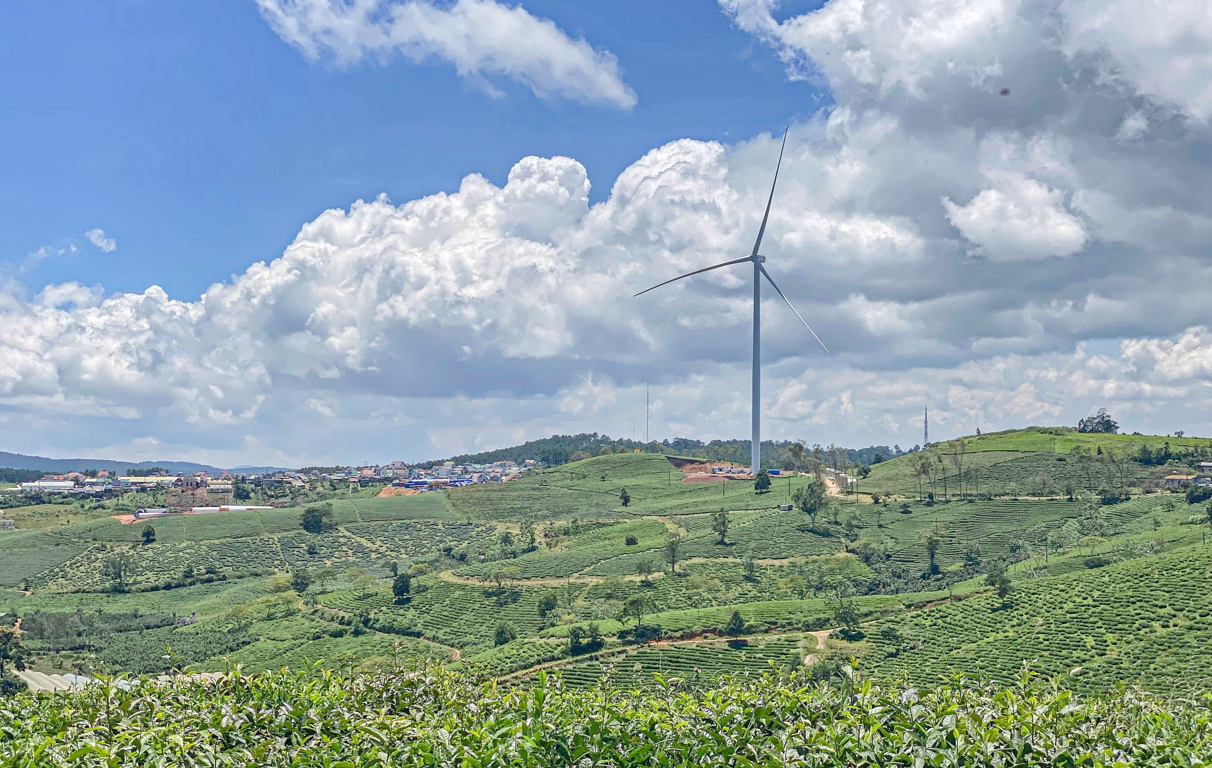 Buoc chu dau tu nha may dien gio Cau Dat nop gan 1,4 ty dong hinh anh