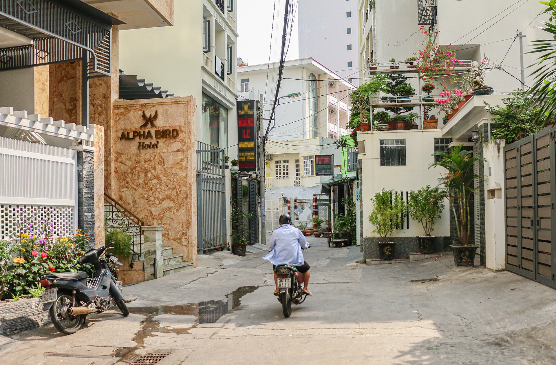 hạng sao khách sạn ảnh 6 hang sao khach san anh 6