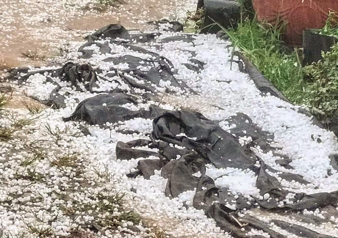 mua da Lam Dong anh 1