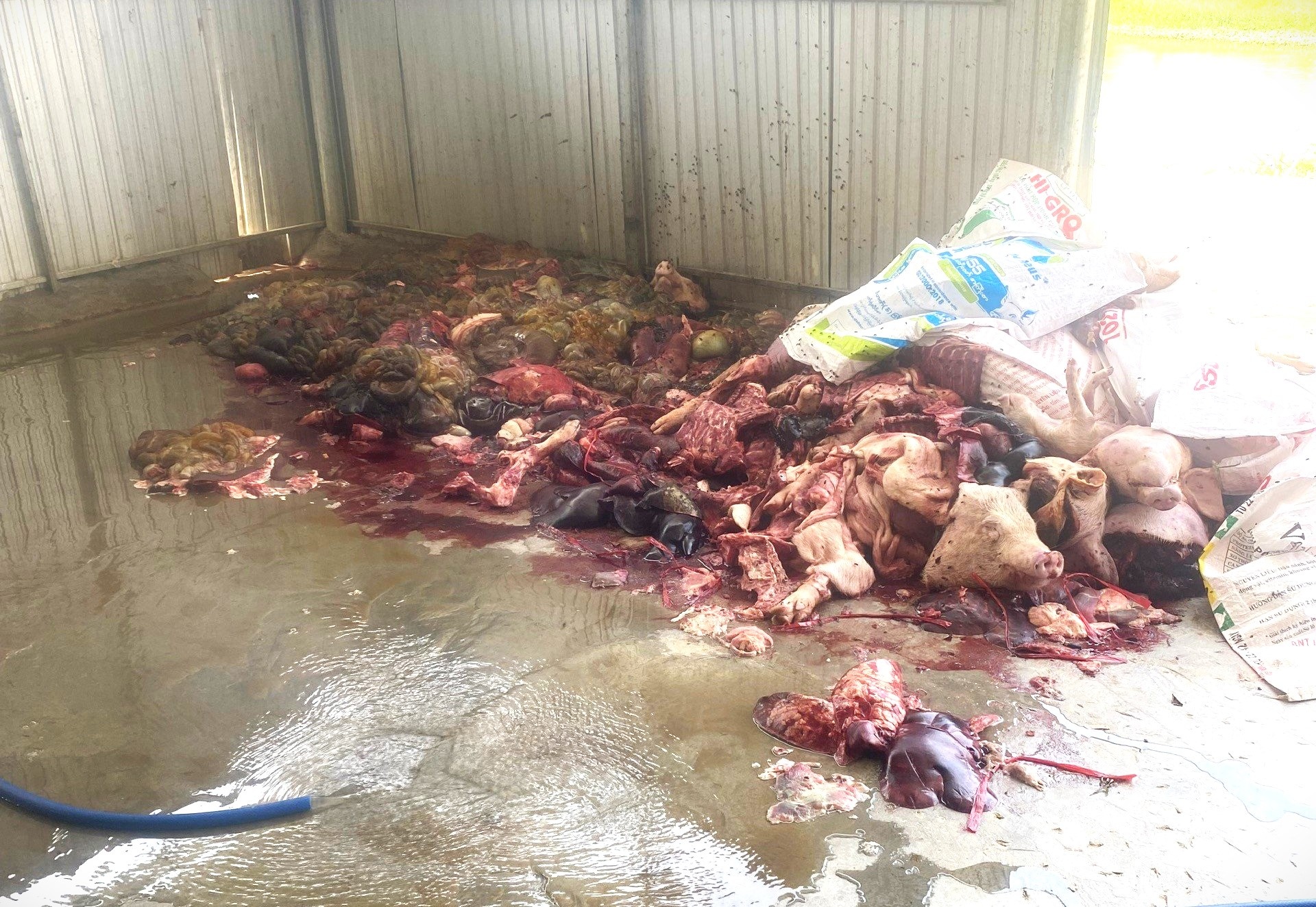 Gom 5 tan thit, noi tang ban ban cho cac tinh phia nam hinh anh