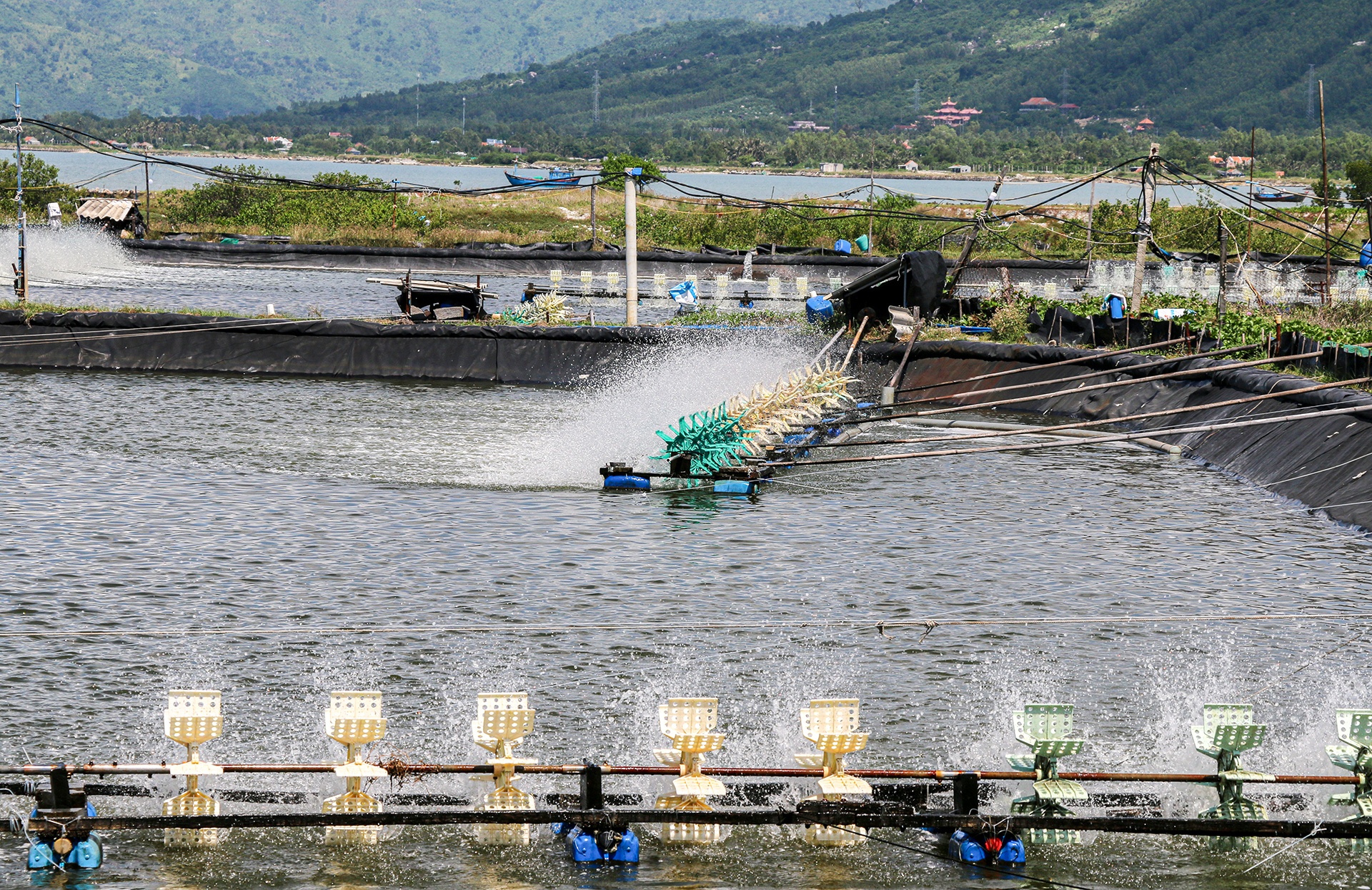 gia dat Van Phong anh 6