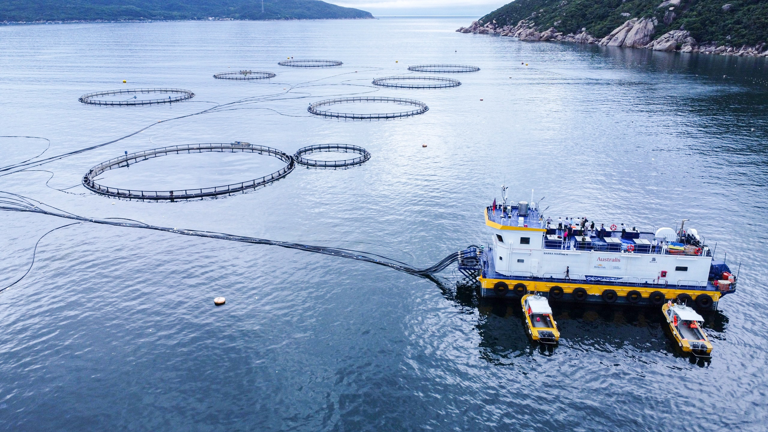 cap du an khung anh 1