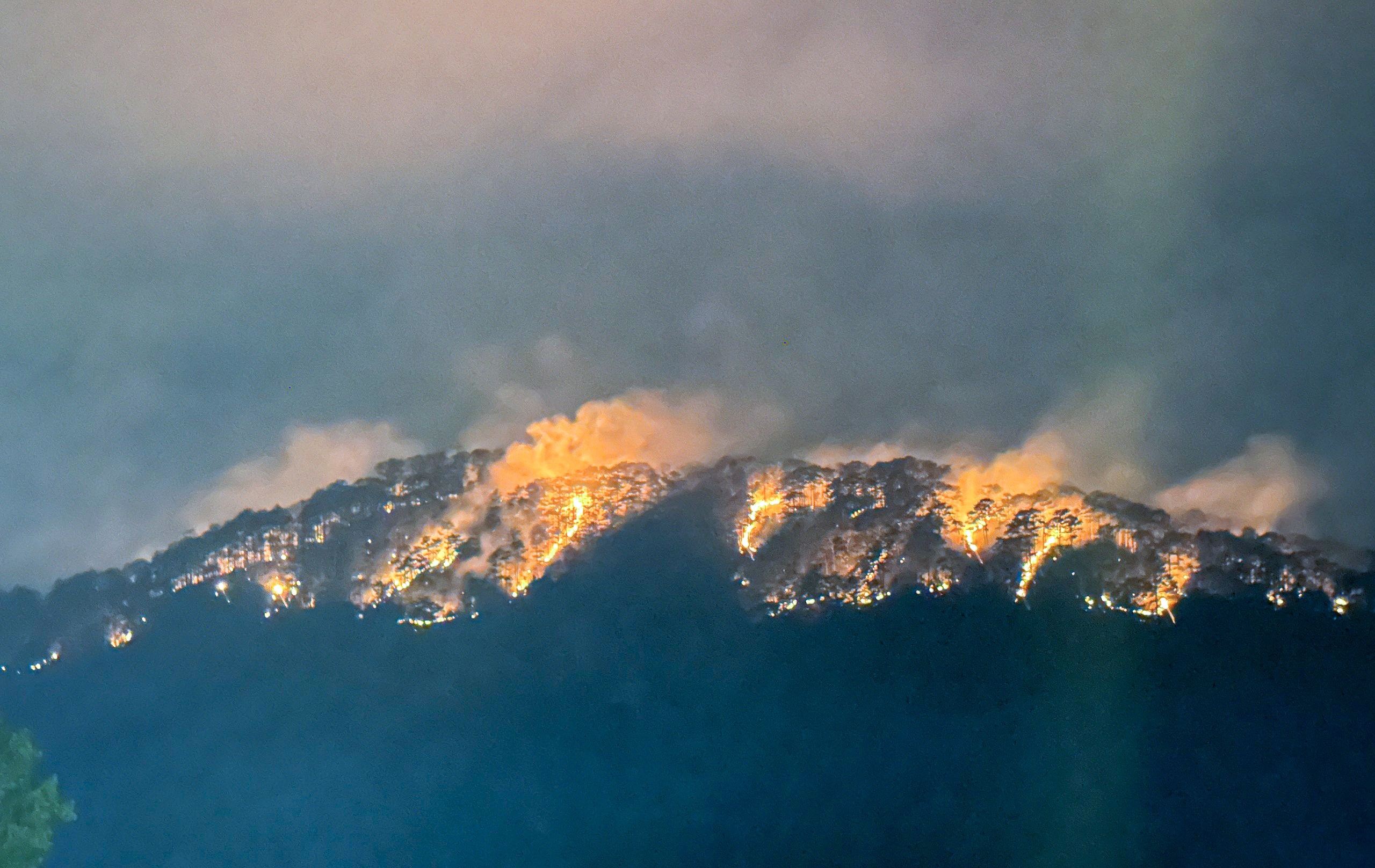 Trich xuat camera dieu tra nguyen nhan chay rung thong o Da Lat hinh anh