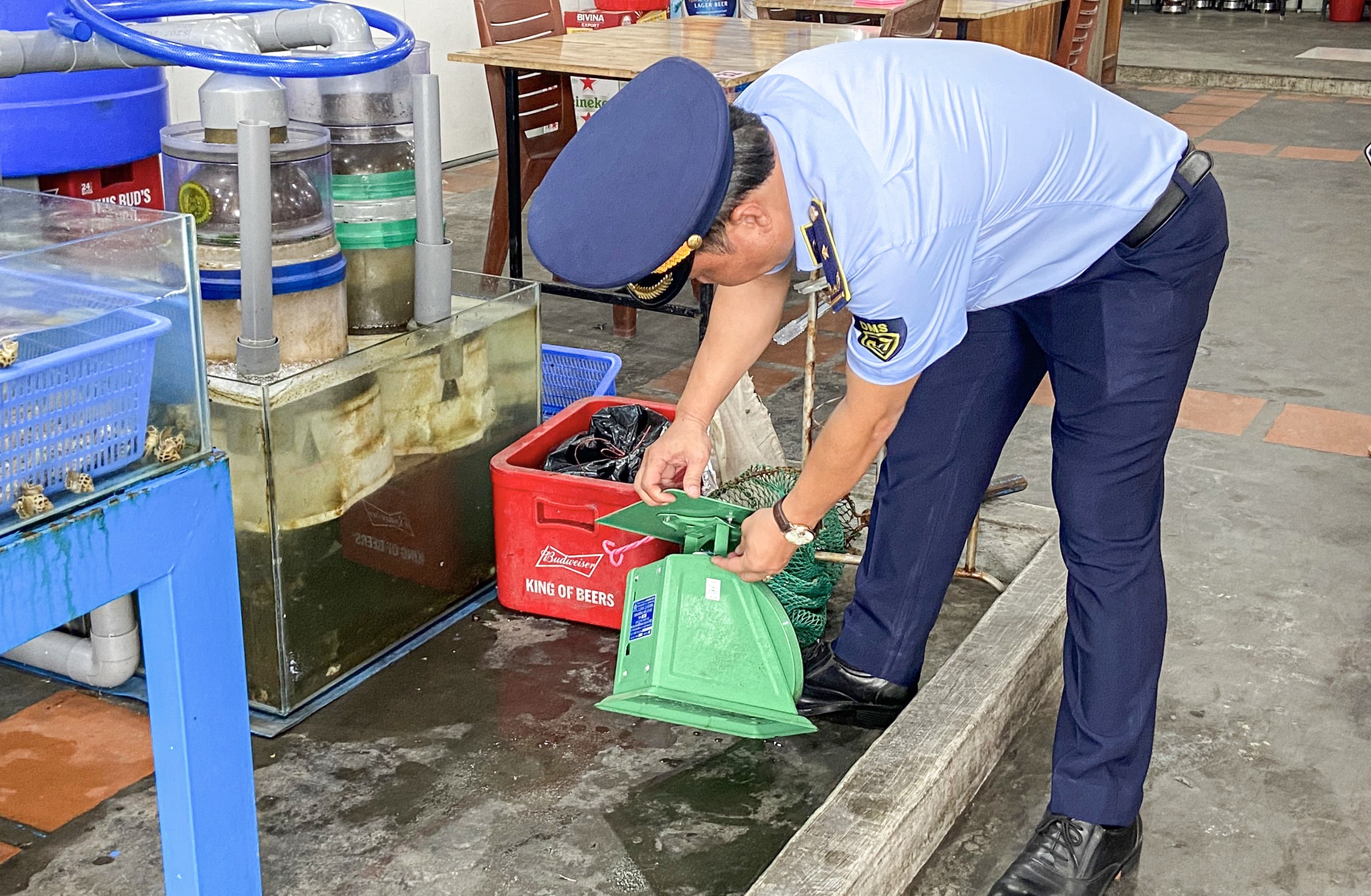 chat chem du khach anh 1