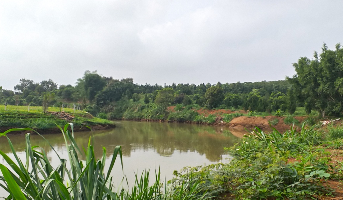 Ru nhau tam song, nu sinh lop 5 tu vong hinh anh