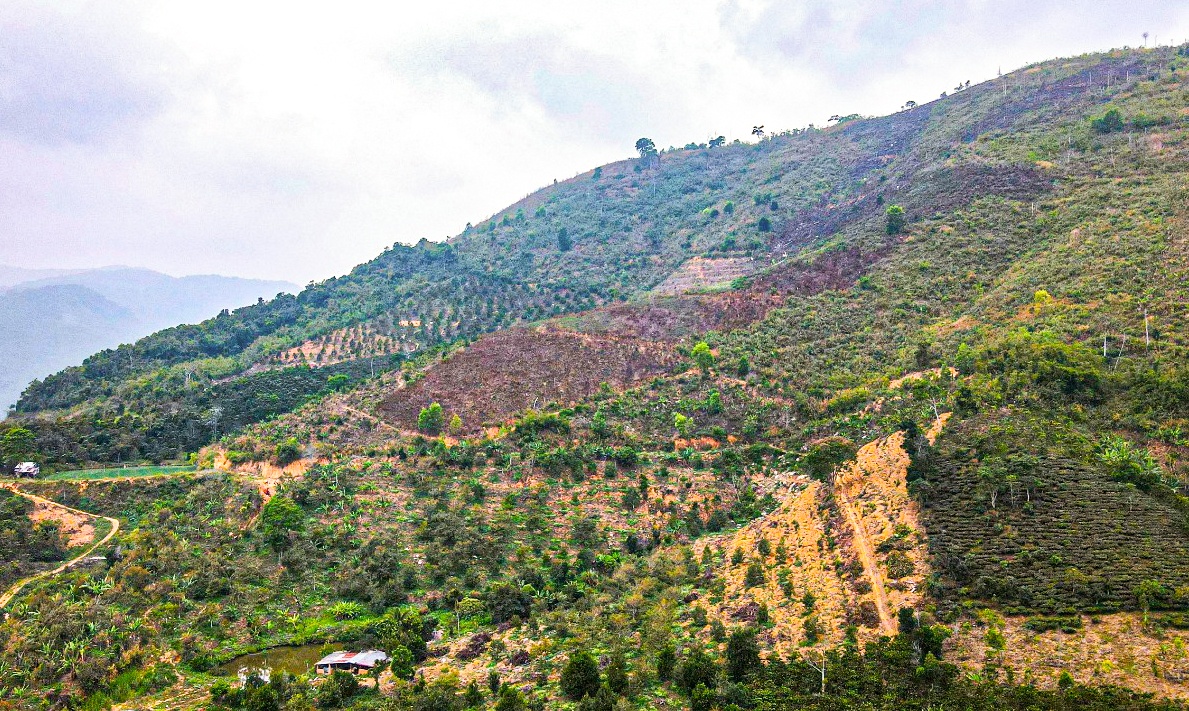 Nguyen pho ban quan ly rung lap khong ho so giao dat hinh anh