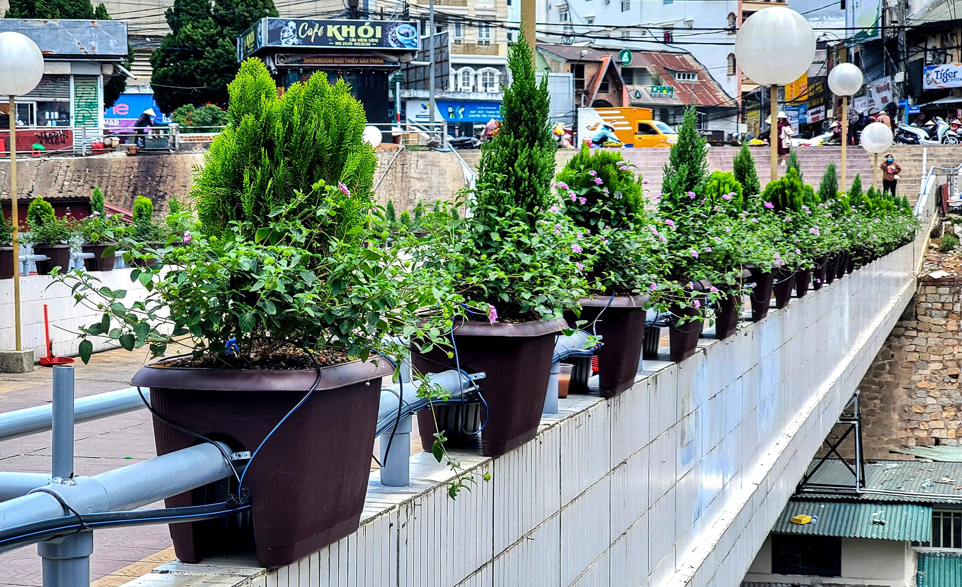 song ao Da Lat anh 5