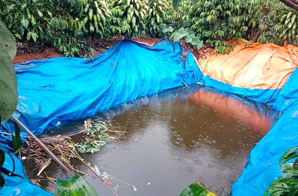 tu vong Lam Dong anh 1