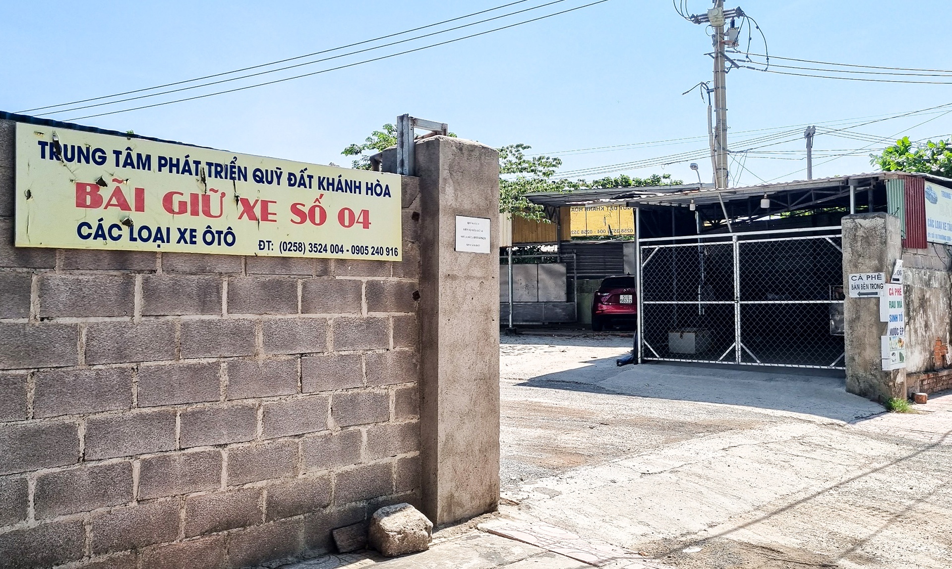 dau gia dat vang anh 3