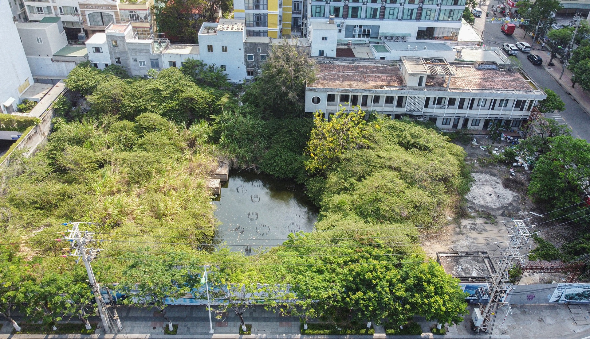 dau gia dat vang anh 6