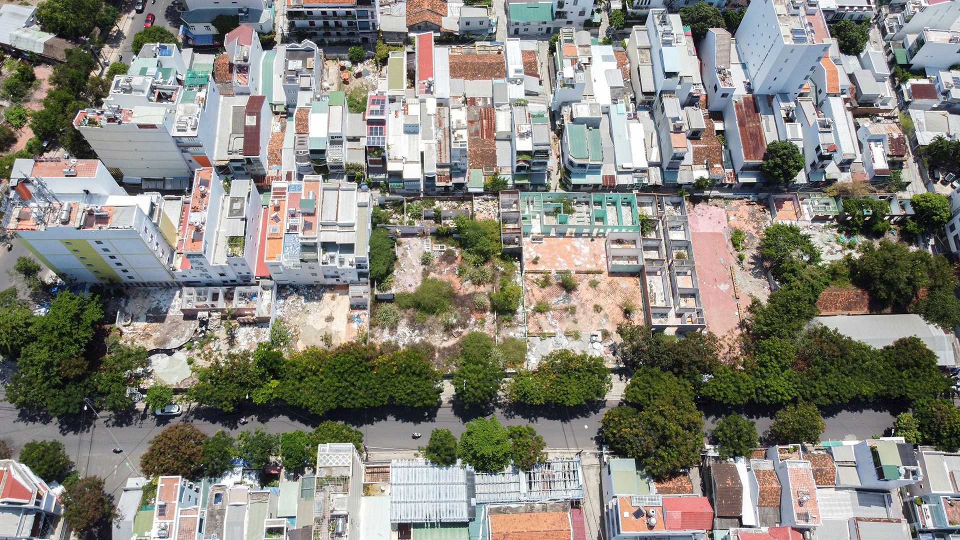 dau gia dat vang anh 9