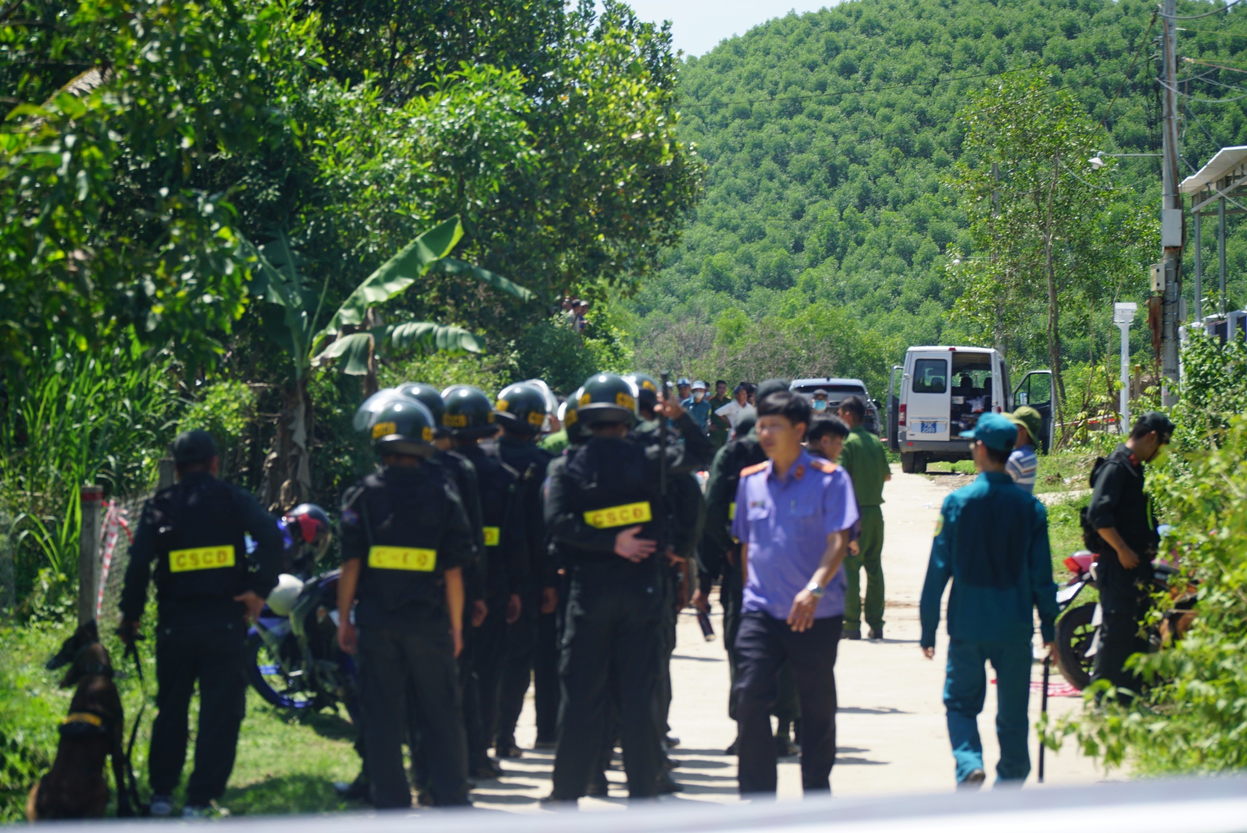 3 nguoi bi sat hai anh 5