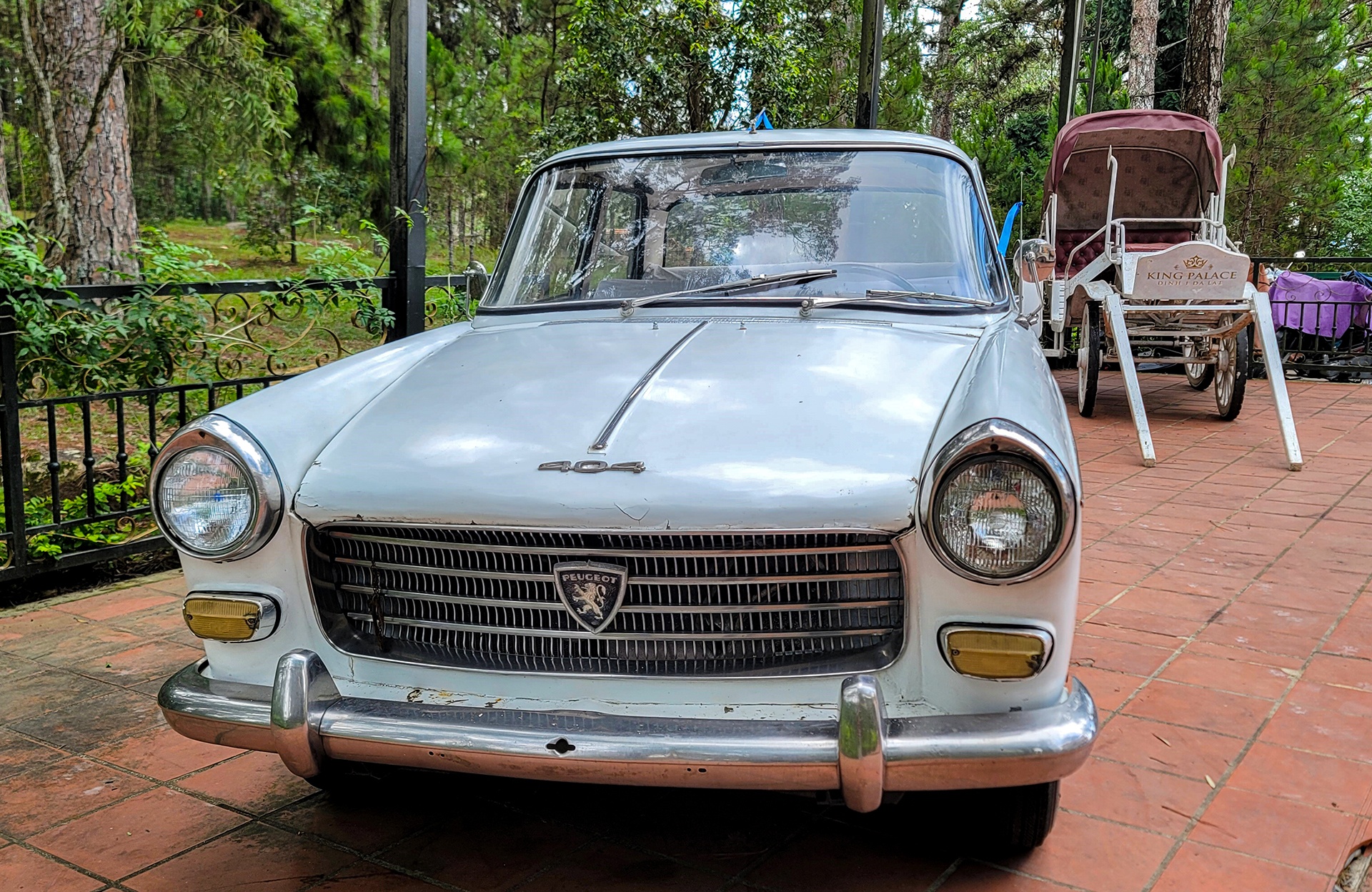 thu hoi Dinh I anh 13