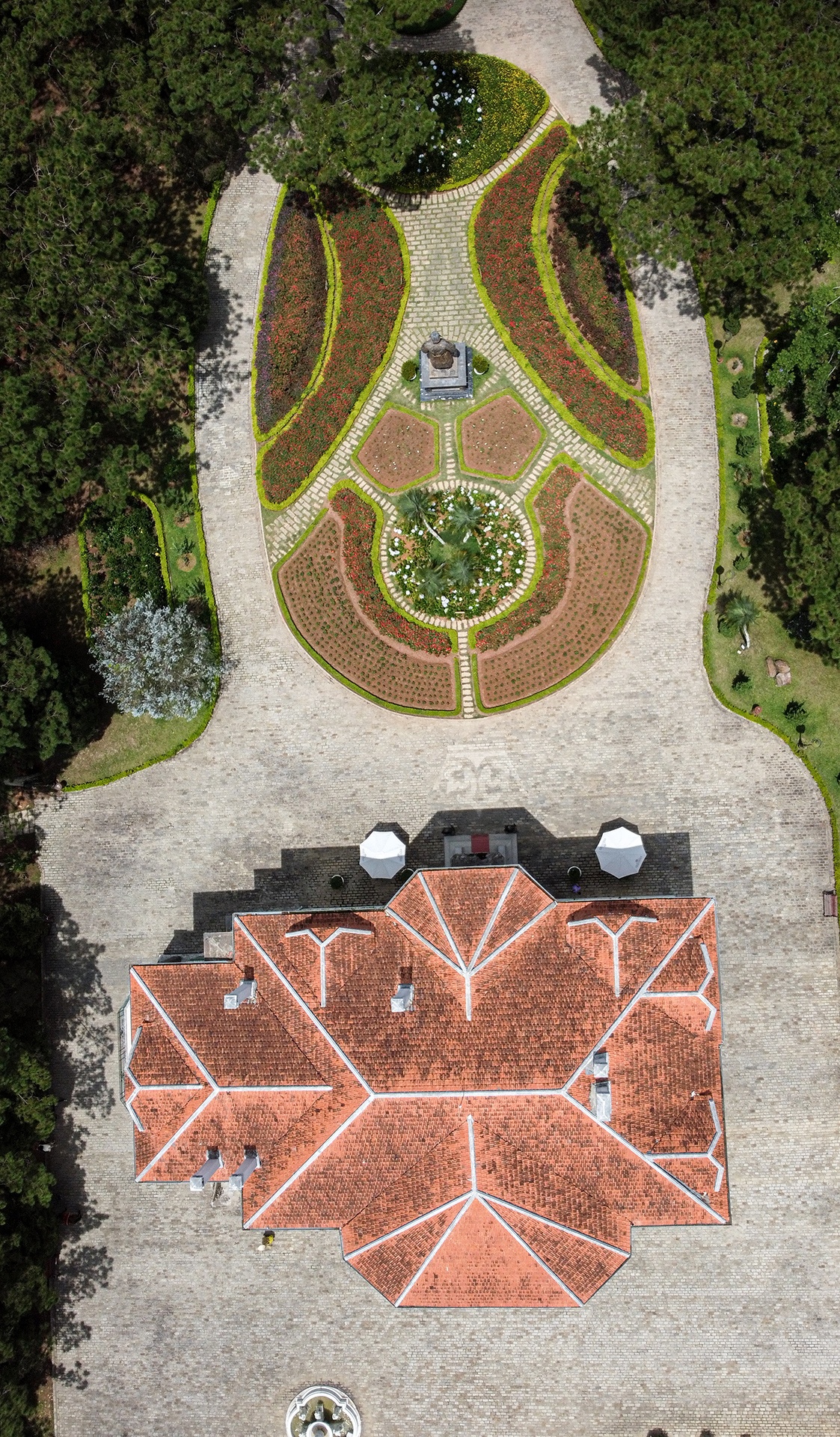 thu hoi Dinh I anh 2