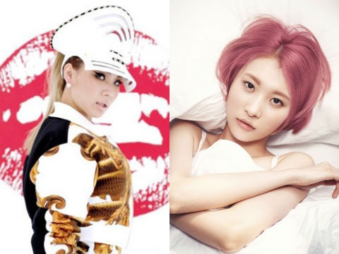 5 man solo dinh cao lan at con bao nhom nhac hinh anh