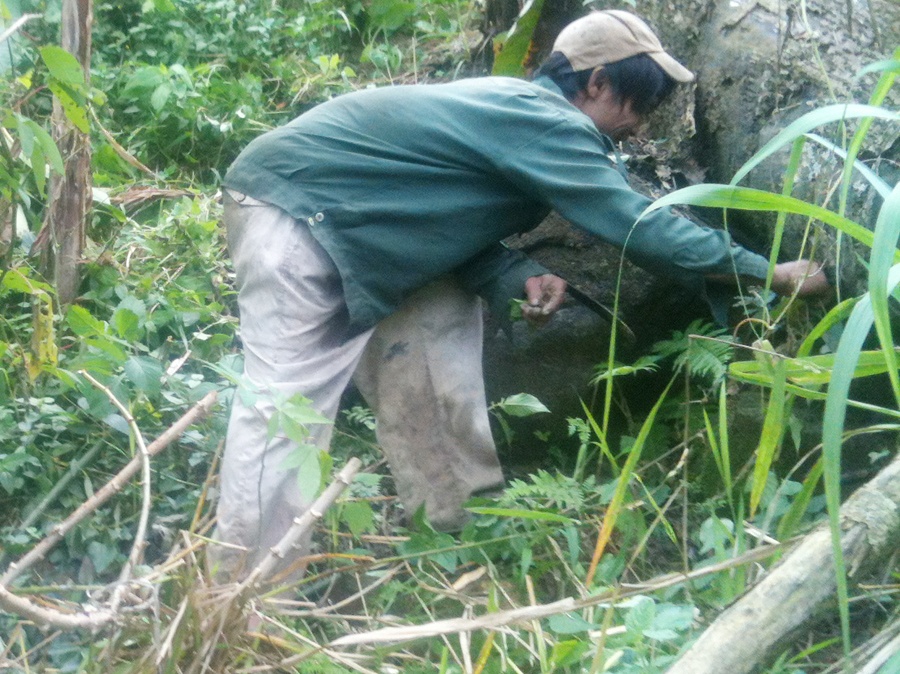 Phim ve 'Nguoi rung' duoc chon du giai Canh dieu vang hinh anh