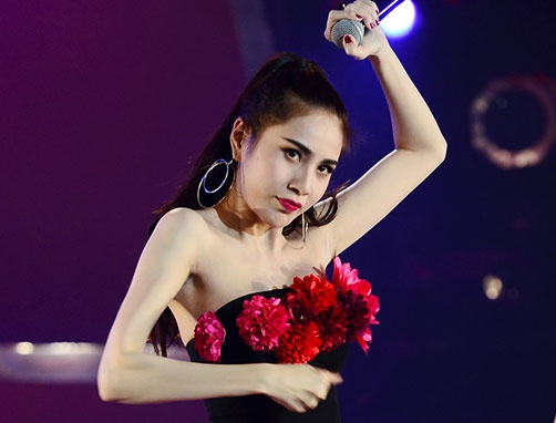 Nhung con so cat-xe gay choang cua sao Viet hinh anh