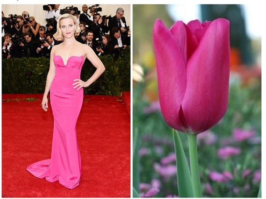 Reese Witherspoon được ví đẹp như một bông hoa tuylip.