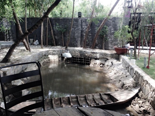 Chia sẻ về ngôi nhà này Phi Thanh vân từng tâm sự: 