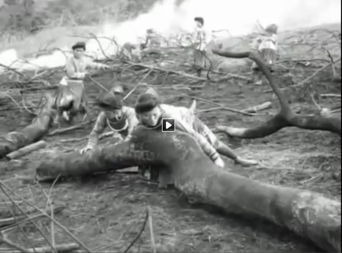 Trich doan phim 'Vo chong A Phu' hinh anh