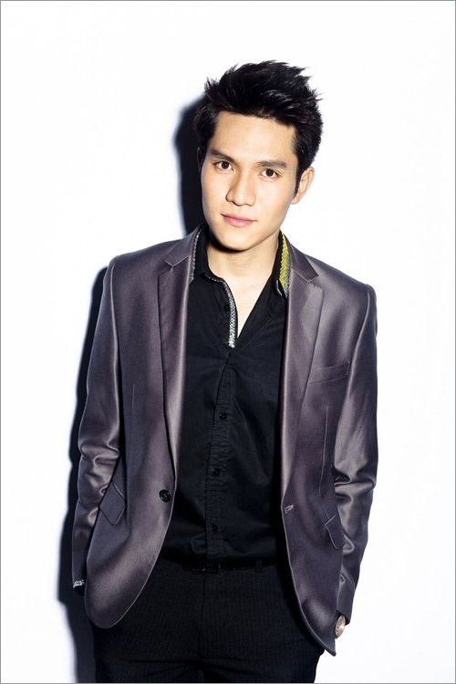  Sau vai diễn này, Minh Anh đã nhận được rất nhiều lời mời tham gia các bộ phim khác như: Nữ tướng cướp, các phim truyền hình dài tập Ván cờ tình yêu, Nghe trà, Bước chân hoàn vũ, Hai gia đình và Về đất Thăng Long....  Bên cạnh đó, anh còn thử sức trong vai trò MC, người mẫu catwalk, người mẫu chụp hình, ca sỹ...  Tuy nhiên, đáng tiếc là dù rất năng động trong công việc nhưng Minh Anh không vượt qua được cái bóng quá lớn của bộ phim Những cô gái chân dài.