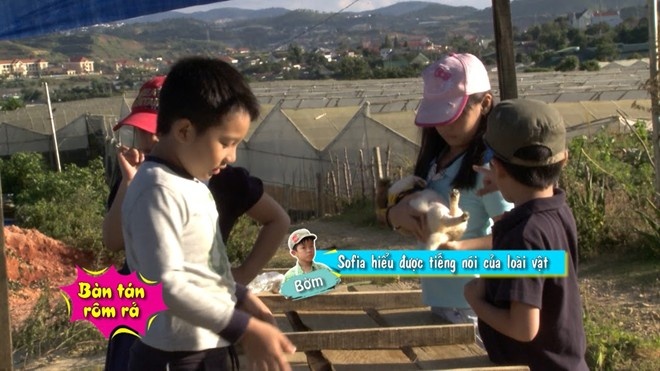 Tap 5 Bo oi minh di dau the phien ban Viet: Tam cho cho hinh anh