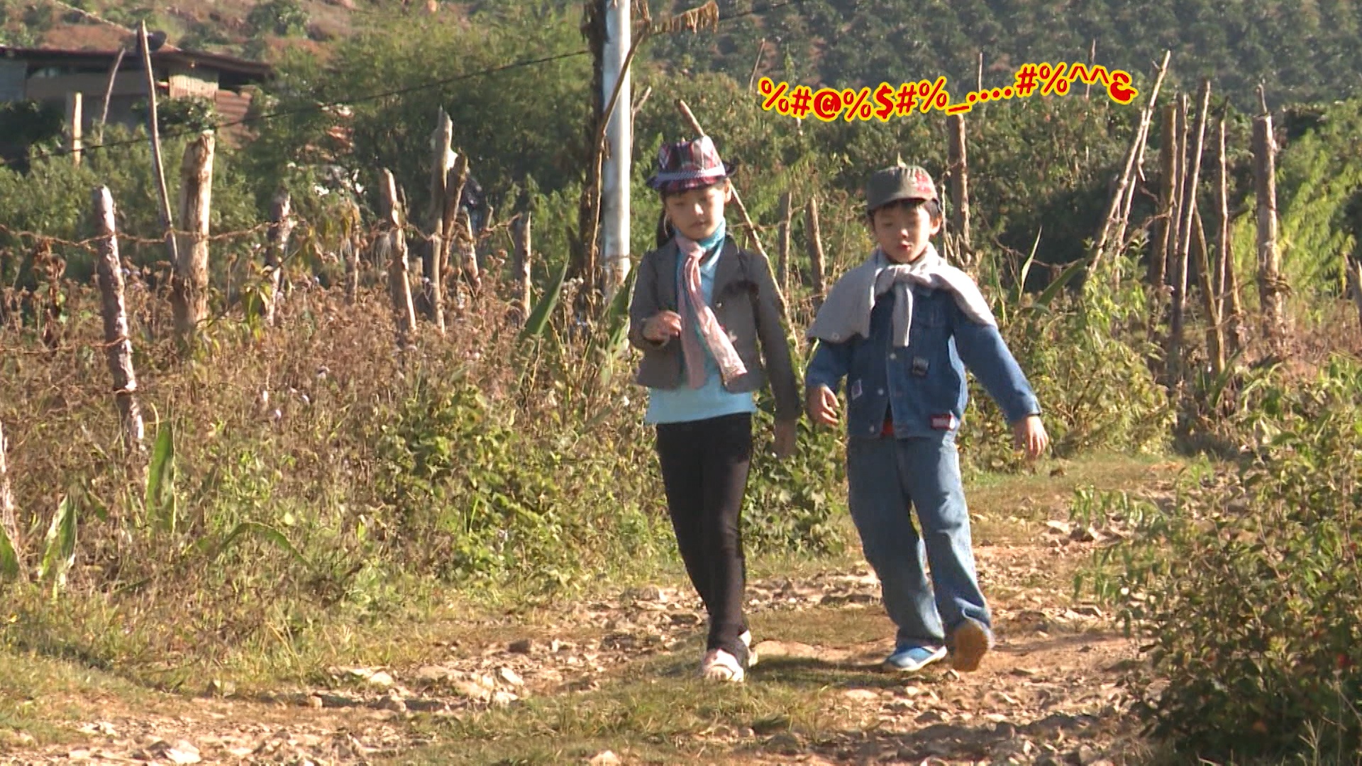 Buoi sang tai Da Lat cua 4 cap bo con hinh anh