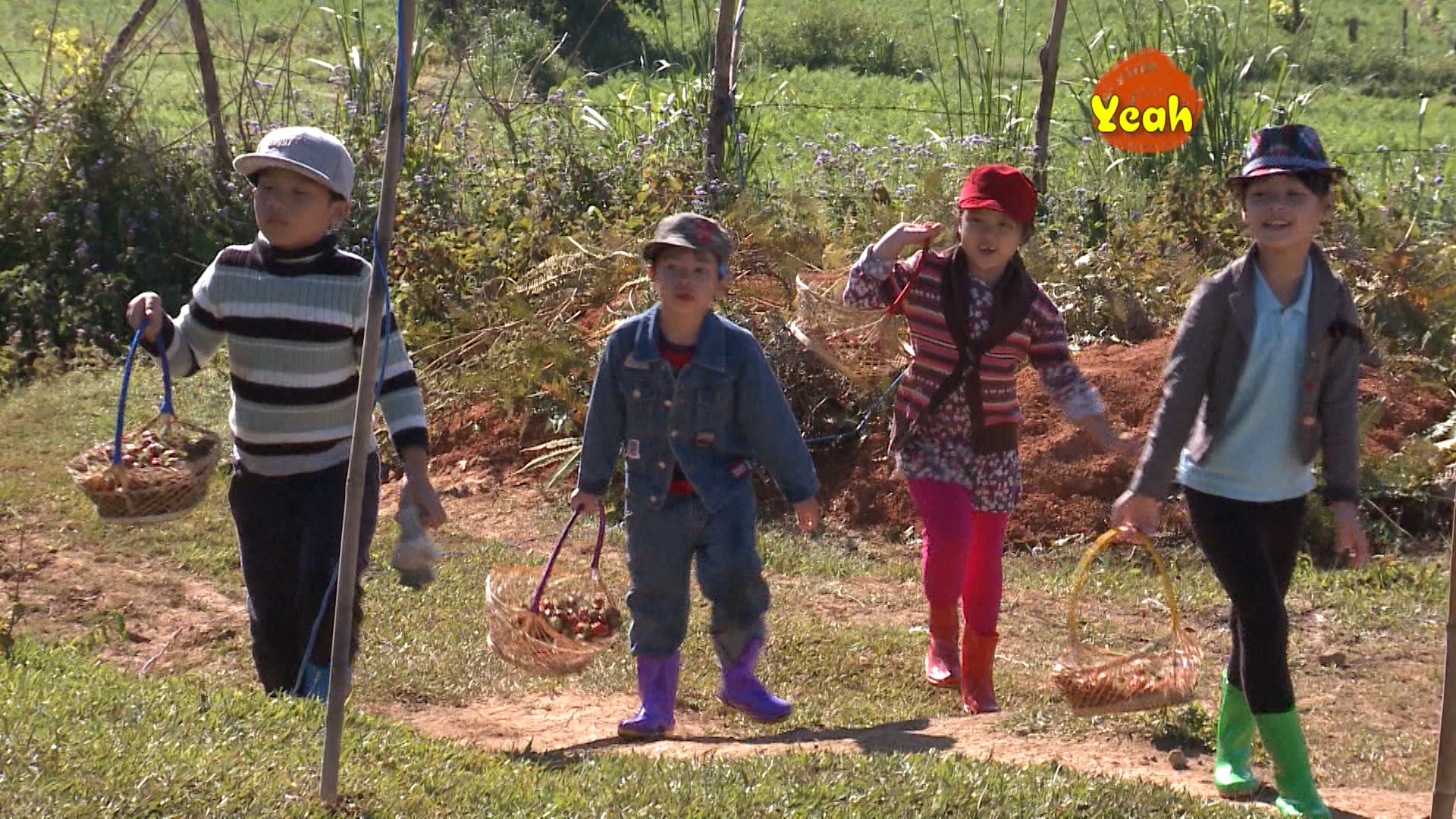 Bom, Bo, Suti va Te Giac hai dau di ban hinh anh