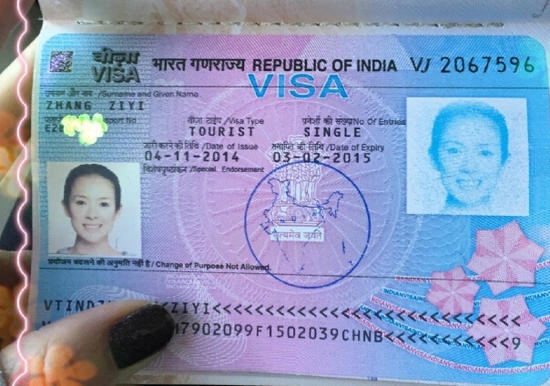 không ít cư dân mạng tỏ ý không hài lòng khi báo chí có thể tiết lộ thông tin đời tư của các nghệ sĩ lên mạng. Theo họ, đây là hành vi xâm phạm đời tư.Hộ chiếu của Chương Tử Di rạng rỡ như ảnh tạp chí.