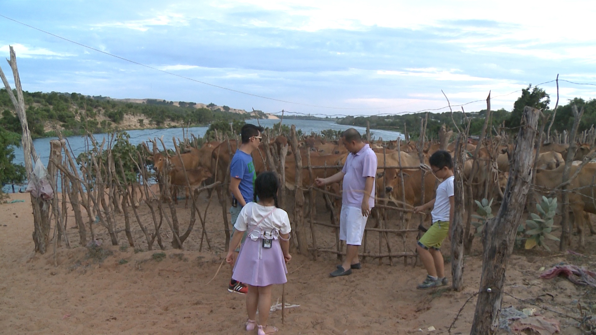 Bo oi minh di dau the