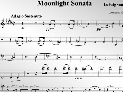 'Moonlight Sonanta' hinh anh