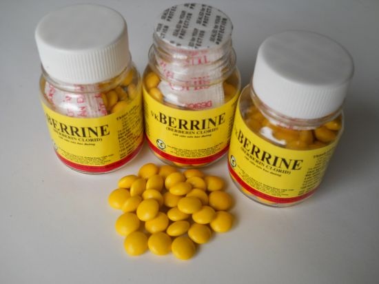 Nhung dieu chua biet het ve berberin hinh anh