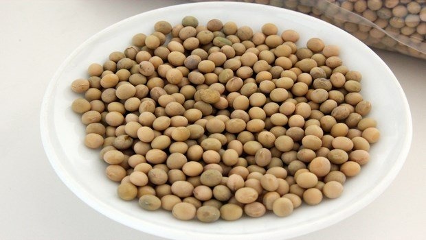  Đậu nành  Đậu nành có hàm lượng protein cao nhất trong số tất cả các loại thực phẩm dành cho người ăn chay. Các protein tinh khiết có chứa trong đậu nành có thể giúp cải thiện các mô và hệ xương. 13 loại thực phẩm giúp phát triển chiều cao  Để tăng chiều cao, bạn nên tiêu thụ khoảng 50 g đậu nành mỗi ngày. Những người ăn chay nên bổ sung đầy đủ protein bằng cách thêm đậu nành vào chế độ ăn hàng ngày. Trong thực tế, đây là một trong những lời khuyên tốt nhất để tiết kiệm chi phí nhưng vẫn hiệu quả trong việc cải thiện chiều cao. Đậu nành thực sự rẻ, dễ mua, tốt cho những người muốn phát triển chiều cao nhanh, vì vậy nếu bạn muốn tăng thêm một vài xentimet, bạn nên sử dụng cách này ngay lập tức.  2. Những sản phẩm từ sữa  Ngoài sữa, bạn cũng nên ăn nhiều hơn các sản phẩm từ sữa như pho mát để có được những tác động tích cực đối với chiều cao. Các sản phẩm từ sữa như kem sữa, sữa chua, pho mát là nguồn dinh dưỡng tuyệt vời có chứa đầy đủ vitamin A, vitamin B, vitamin D và vitamin E. Chúng cũng rất giàu canxi và protein cần thiết cho sự phát triển tổng thể của cơ thể. 13 loại thực phẩm giúp phát triển chiều cao  Canxi và vitamin D có tác dụng rất tốt đối với chiều cao. Sự thiếu hụt vitamin D có thể khiến bạn bị lùn và tăng chiều cao chậm. Những người muốn cao hơn một cách tự nhiên và nhanh chóng tại nhà nên tiêu thụ đủ lượng canxi, đặc biệt là đối với những người trải qua giai đoạn dậy thì. Tóm lại, nếu bạn là một trong những người muốn tìm hiểu làm thế nào để phát triển cao nhanh chóng và tự nhiên mà không sử dụng bất kỳ loại thuốc độc hại với chi phí đắt đỏ, bạn nên uống sữa và các sản phẩm từ sữa.  3. Bổ sung khoáng chất  Các loại thực phẩm dồi dào về khoáng chất như iốt, florua, mangan, phốt pho, magiê, sắt đều đóng vai trò quan trọng trong việc tăng chiều cao và phát triển cơ thể.  Canxi là một khoáng chất thiết yếu cần thiết cho việc duy trì xương chắc khỏe. Đồ uống có ga, cà phê, chất béo, đường nên được hạn chế bởi vì chúng có thể ức chế khả năng hấp thụ canxi của cơ thể, ảnh hưởng tiêu cực đến sự phát triển chiều cao của bạn. Hút thuốc và sử dụng thuốc bất hợp pháp cũng có thể làm chậm và ức chế sự tăng trưởng của cơ thể, để lại một số tác động xấu khác đối với sức khỏe. Trong thực tế, đây cũng là một trong những mẹo thú vị và hữu ích nhất để phát triển cao tự nhiên ở nhà nhanh hơn.  4. Protein  Protein là những khối tạo thành cơ thể con người, do đó nó có thể giúp chiều cao tăng bằng cách xây dựng một số mô. Các axit amin rất cần thiết cho răng, da, nội tạng, mô, cơ, xương chắc khỏe, cũng như chịu trách nhiệm cho việc kích thích các phản ứng sinh hóa của cơ thể như hô hấp, bài tiết, và tiêu hóa. Sự thiếu hụt protein có thể dẫn đến nhiều vấn đề sức khỏe cho con người, chẳng hạn như sự phát triển không đầy đủ về tinh thần, cân nặng giảm, hệ thống miễn dịch yếu, tăng trưởng bất thường. 13 loại thực phẩm giúp phát triển chiều cao  Vì vậy, bạn nên thay thế hydrat-cacbon bằng các loại thực phẩm có nguồn protein tuyệt vời và lành mạnh như các loại đậu, sữa, trứng, cá.  5. Hải sản 13 loại thực phẩm giúp phát triển chiều cao  Hải sản là thực phẩm giàu canxi, có chiếm 99% lượng canxi trong cấu trúc xương và răng. Sự thiếu hụt khoáng chất này sẽ gây ra nhiều vấn đề sức khỏe, bao gồm cả việc giới hạn chiều cao cơ thể. Đặc biệt đối với những người trẻ, họ nên bổ sung nguồn thức ăn giàu canxi từ hải sản như cua, ốc, sò, tôm, cá ... để giúp tăng cường xương và chiều cao.  6. Ăn sữa chua 13 loại thực phẩm giúp phát triển chiều cao  Cơ thể không thể tự tạo ra canxi. Để giúp cơ thể hấp thụ canxi, bạn cần bổ sung thêm vitamin D. Sữa chua có nguồn vitamin D và canxi dồi dào, cần thiết cho sự phát triển chiều cao của cơ thể. Bạn có thể thay thế sữa chua bằng phô mai, bơ, hoặc các chế phẩm khác từ sữa chua.  7. Ăn rau bina  Rau bina là một loại thực vật được sử dụng phổ biến ở Nam Á. Đây là một loại rau xanh có khả năng làm tăng các chức năng của cơ thể. Có thể bạn đã nghe câu chuyện của thủy thủ Popeye nổi tiếng, người đã nhờ ăn rau bina, trở nên cao lớn và mạnh mẽ. 13 loại thực phẩm giúp phát triển chiều cao  Rau bina rất giàu vitamin, sắt, chất xơ, canxi, và tất cả các chất dinh dưỡng hữu ích cho việc tăng chiều cao một cách hiệu quả. Nói tóm lại, sử dụng rau bina là một trong những cách đơn giản nhất để cao hơn một cách tự nhiên và nhanh chóng.  8. Cà rốt 13 loại thực phẩm giúp phát triển chiều cao  Đây là loại rau có chứa nhiều loại vitamin khác nhau, đặc biệt là vitamin A. Ăn cà rốt thường xuyên không chỉ tốt cho mắt và phát triển não bộ mà còn thúc đẩy các cơ chế tổng hợp protein, giúp phát triển và tăng chiều cao cơ thể. Bạn có thể ăn cà rốt sống hoặc nước trái cây, đây là thức uống ngon, tự nhiên, mát mẻ và ngọt ngào.  9. Trứng 13 loại thực phẩm giúp phát triển chiều cao  Trứng cũng là một trong những lời khuyên tốt nhất để phát triển chiều cao tự nhiên mà mọi người không nên bỏ qua. Trứng chứa nhiều protein, đặc biệt là lòng trắng trứng rất tốt cho sự phát triển tổng thể của cơ thể vì nó có thể giúp tổng hợp các vitamin trong các tế bào, do đó chiều cao sẽ phát triển nhanh và tự nhiên. Trứng bao gồm trứng gà, trứng vịt, trứng chim cút ... đều rất ngon và có thể được chế biến thành nhiều món ăn khác nhau như luộc, trứng rán, hoặc trứng chiên.  10. Thịt gà  Khi bạn chọn các loại thực phẩm giúp tăng chiều cao, bạn không nên quên thịt gà. Gà không những là một loại thực phẩm lành mạnh để ăn mà chứa rất nhiều protein, giúp bạn trưởng thành và phát triển chiều cao một cách hiệu quả. 13 loại thực phẩm giúp phát triển chiều cao  Thịt gà nạc, chẳng hạn như ức gà, rất giàu protein và ít chất béo. Bắp đùi gà giàu hàm lượng sắt và chất béo. Gà cực dễ dàng để chế biến với nhiều món ăn ngon khác nhau. Bạn có thể nấu súp gà, gà luộc, hoặc gà hấp. Mỗi ngày, bạn nên bổ sung khoảng 100g thịt gà trong các bữa ăn của bạn nếu bạn muốn cải thiện chiều cao nhanh chóng và tự nhiên.  11. Yến mạch 13 loại thực phẩm giúp phát triển chiều cao  Đây cũng là một trong những lời khuyên tốt nhất để phát triển cao nhanh chóng và tự nhiên mà mọi người nên nhớ. Trong thực tế, yến mạch và bột yến mạch là những loại thực phẩm có rất ít chất béo nhưng giàu protein, do đó, đây là một trong những thực phẩm ăn sáng tốt nhất trong thực đơn tăng chiều cao. Bạn có thể xử lý bột yến mạch với nhiều món ăn khác nhau để tăng hương vị và có được cảm giác ngon miệng.  12. Hoa quả  Hầu hết các loại trái cây đều có chứa nhiều vitamin và khoáng chất cần thiết, có lợi cho sức khỏe con người. Các loại trái cây có chứa hàm lượng vitamin A cao như đào và xoài, cực tốt cho sự phát triển toàn diện của cơ thể. Ngoài ra, các loại trái cây họ cam quýt như cam, quýt, chanh, bưởi có chứa rất nhiều vitamin C, hơn nữa còn giúp cơ thể hấp thụ canxi một cách tối ưu. 13 loại thực phẩm giúp phát triển chiều cao  Ăn trái cây mỗi ngày sẽ giúp xương chắc khỏe, tăng chiều cao một cách tự nhiên, đồng thời cực tốt cho da và hệ tiêu hóa. Ngoài ra, tiêu thụ trái cây còn có thể ngăn ngừa ung thư.  13. Tiêu thụ nhiều lysine hơn  Bên cạnh canxi, vitamin D, sắt, kẽm, lysine cũng đóng một vai trò rất quan trọng trong việc thúc đẩy sự phát triển vượt trội về chiều cao. Vì vậy, bạn nên thường xuyên tiêu thụ nhiều thực phẩm có chứa hàm lượng lysine cao trong khẩu phần ăn của mình mỗi ngày. Trong cơ thể, lysine đóng một vai trò quan trọng trong nhiều quá trình sinh lý, bao gồm cả sự phát triển và tăng trưởng của xương. 13 loại thực phẩm giúp phát triển chiều cao  Lạc, hạt dẻ, hạnh nhân và các loại hạt khác giàu lysine  Các nhà nghiên cứu cho rằng mọi người cần phải được bổ sung lysine thông qua chế độ ăn uống hàng ngày. Đây là một trong những cách tốt nhất để giúp chúng ta tăng chiều cao tự nhiên cũng như đảm bảo tinh thần, thể chất phát triển bình thường. Đây cũng là một mẹo tốt để tăng chiều cao cho mọi người ở mọi lứa tuổi và giới tính.