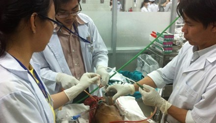Sai lam chet nguoi cua ma men tre hinh anh