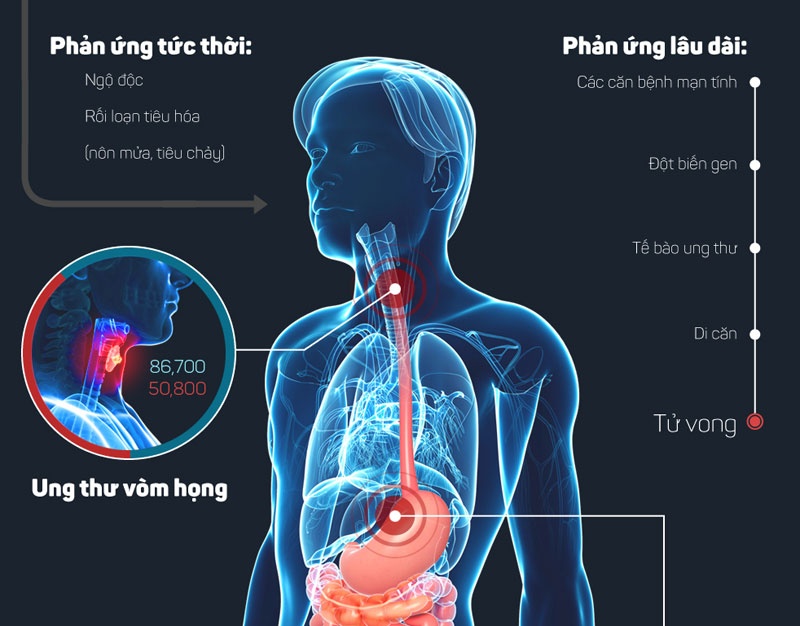 Thuc pham ban - duong ngan nhat tu da day den nghia trang hinh anh