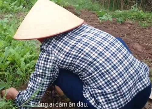 An rau, an luon ca hoa chat hinh anh