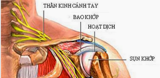 Ðau vung quanh vai, khong the coi thuong hinh anh