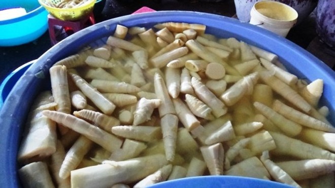 Hoa chat ngam mang tuoi lau, no nhanh tan pha co the ban hinh anh