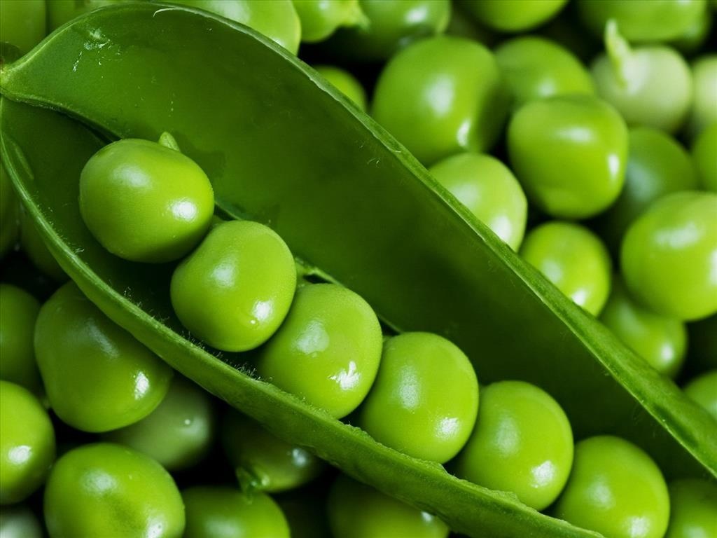 Dau Ha Lan, bap non su dung chat bao quan vuot nguong hinh anh