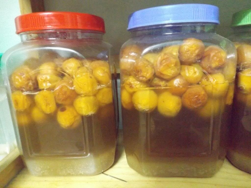 Nguy co ung thu vi uong nuoc hoa qua trong chai nhua, inox hinh anh