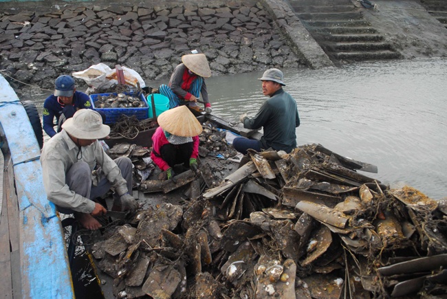 xa dao Thanh An anh 12