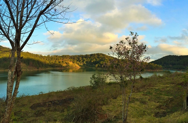 Da Lat lang le tro minh sang xuan hinh anh