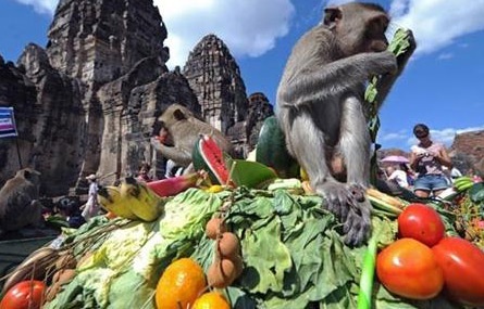 Nhung le hoi ky quai nhat trong thang 11 hinh anh