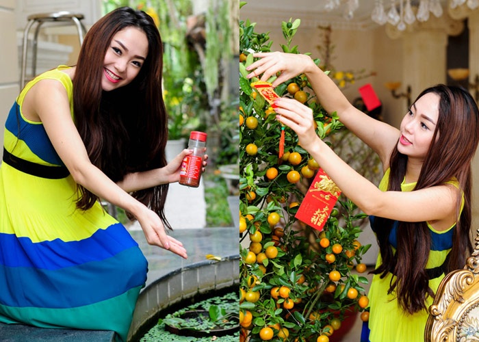 Tham nha sang trong cua Minh Hang ngay can Tet hinh anh