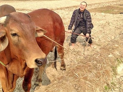 Xuan Hinh: 'Sang tap the duc, luot Facebook thay doi vui' hinh anh