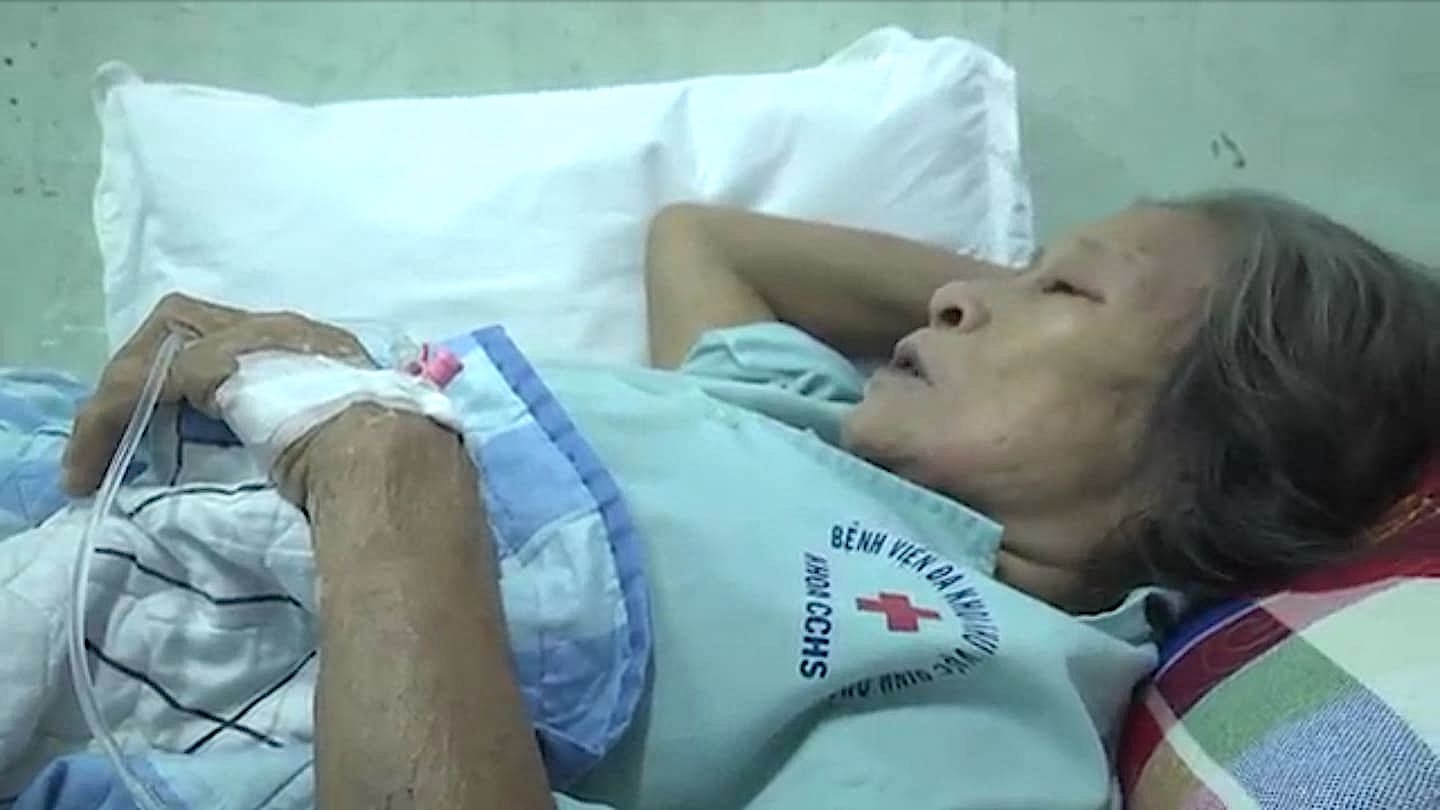 ong vò vẽ đốt ảnh 1 ong vo ve dot anh 1